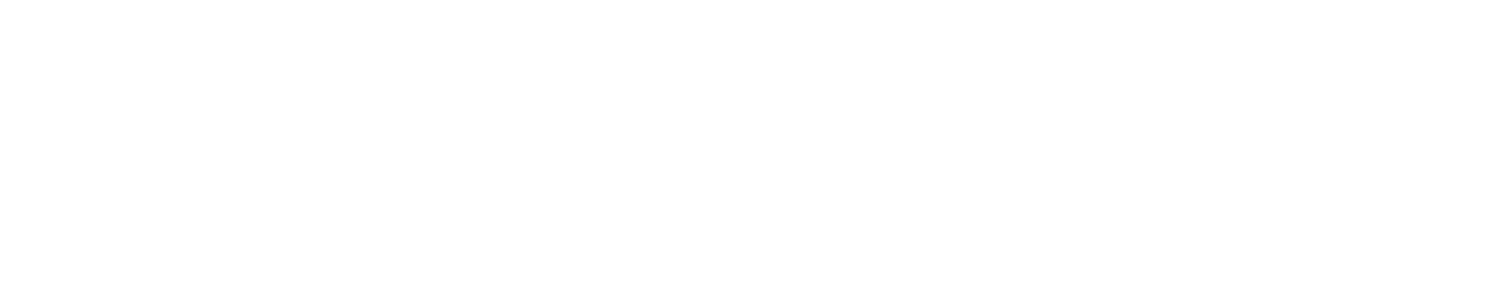 SLS Consulting Logo